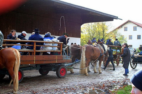 Martiniritt 2006