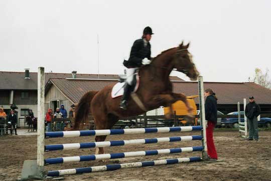 Josephine mit Prinz