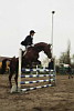 Renate mit dem Hengst