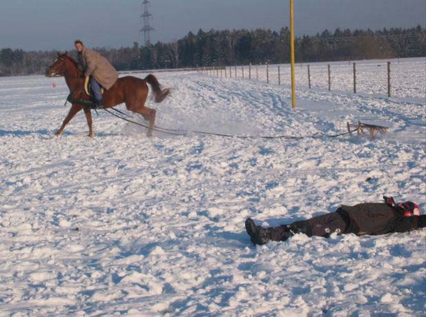Alex ohne Schlitten und Pferd