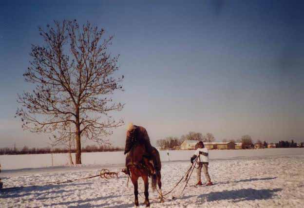 Stella mit Novara und Romea
