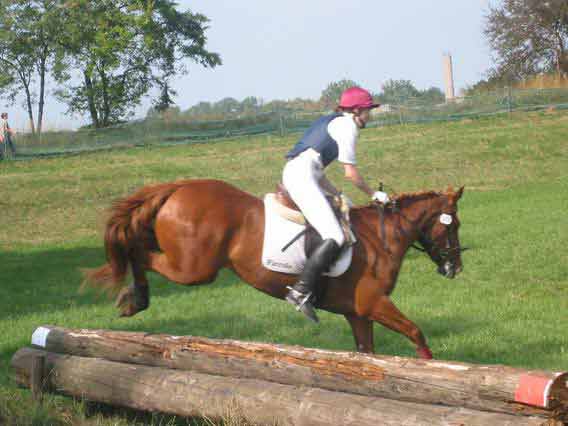 Gel�ndewettbewerb