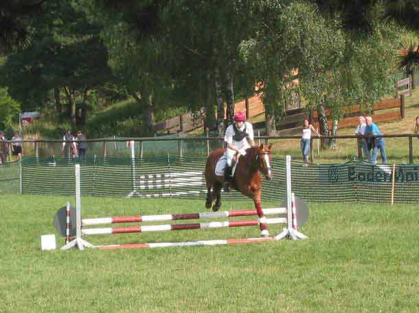 Gel�ndewettbewerb