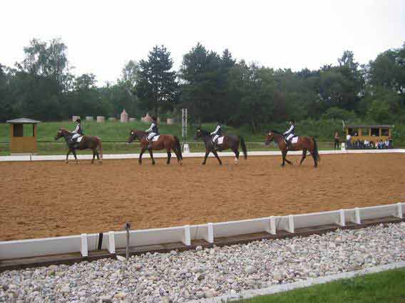 Rassenquadrille