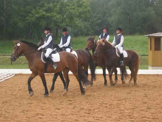Rassenquadrille
