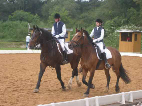 Rassenquadrille