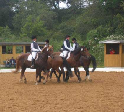 Rassenquadrille