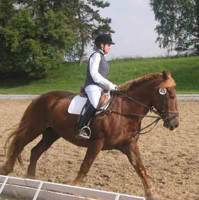 Warmreiten Kaltbl�ter