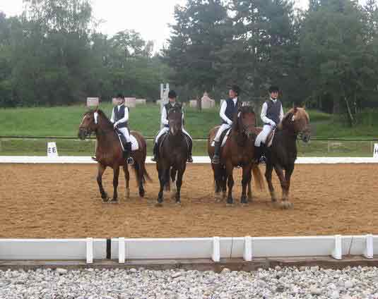 Rassenquadrille Siegerehrung