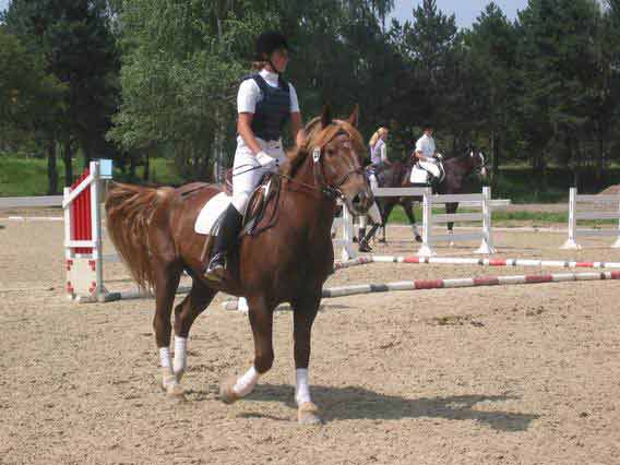A-Quadrille in Uniform