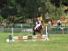 Quadrille im Galopp