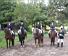 Quadrille im Galopp